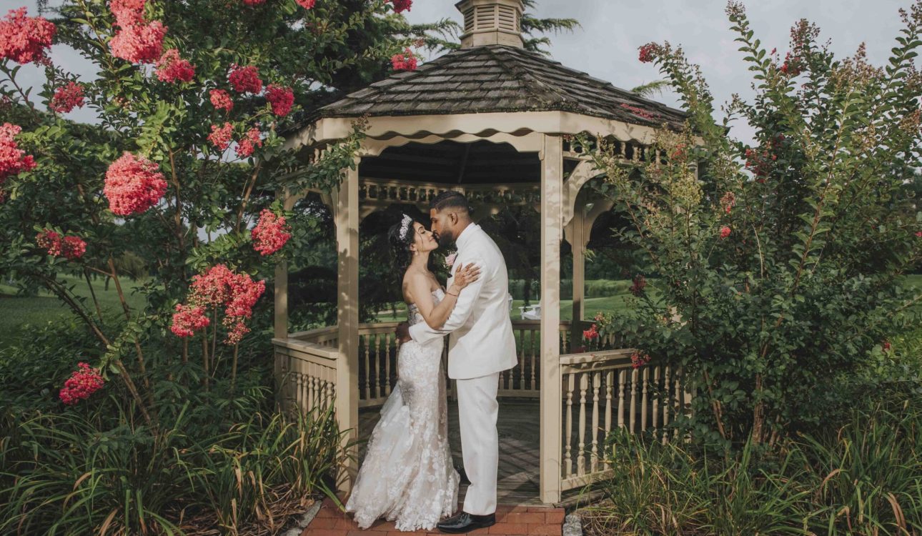 Beatriz & Navindra Wedding Video